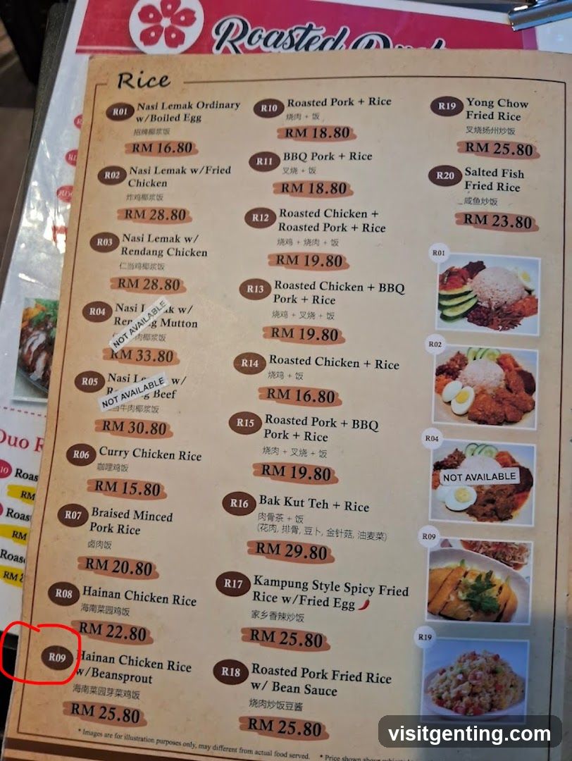 Roasted Duck Restaurant Menu - Rice Section