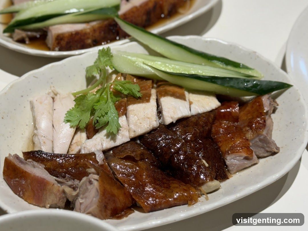Dish of roasted duck and chicken with cucumber and cilantro
