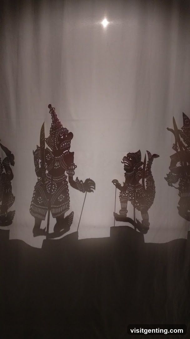 Shadow Puppet Show