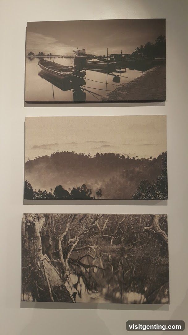 Wall-mounted photographic prints