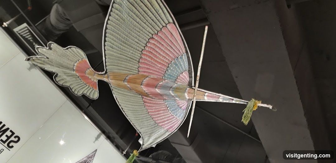 Kite Display
