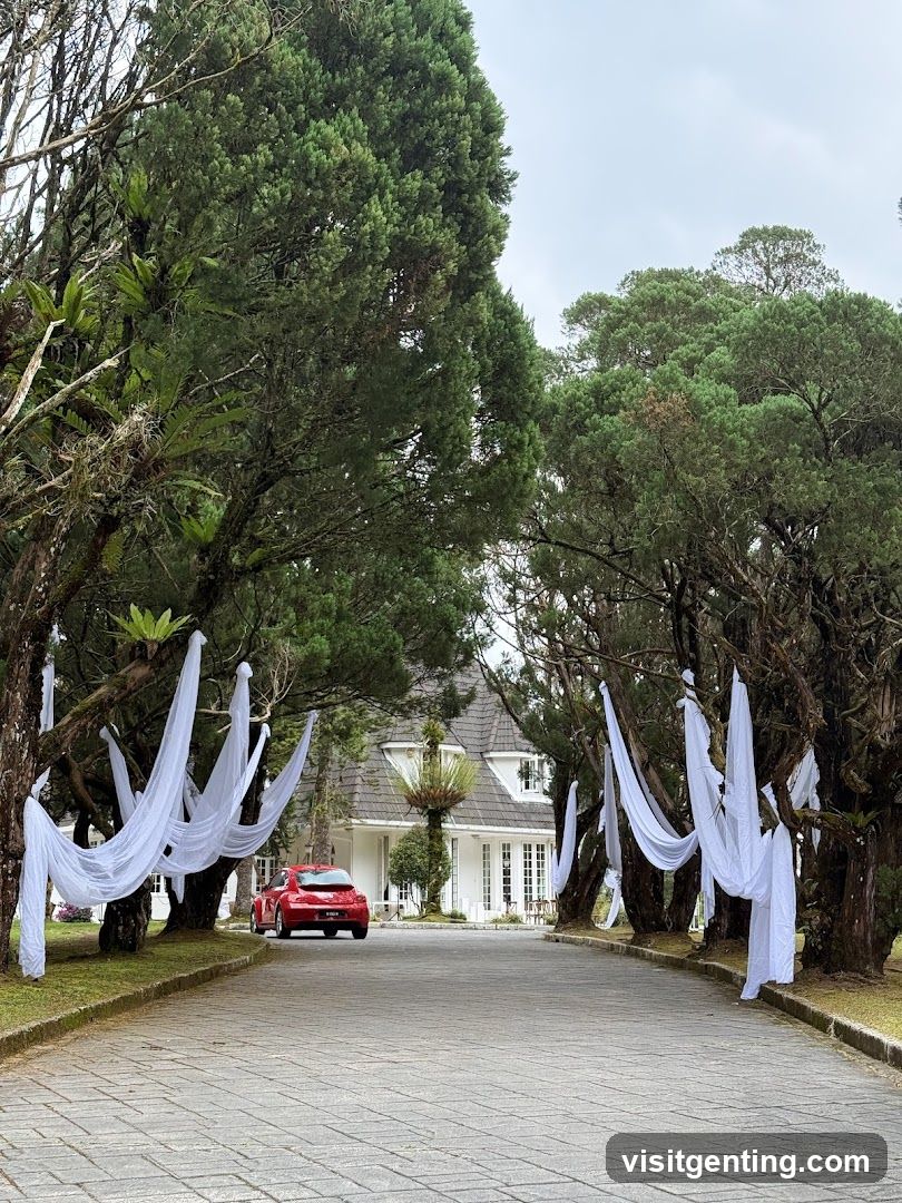 Landscape with Trees and Car