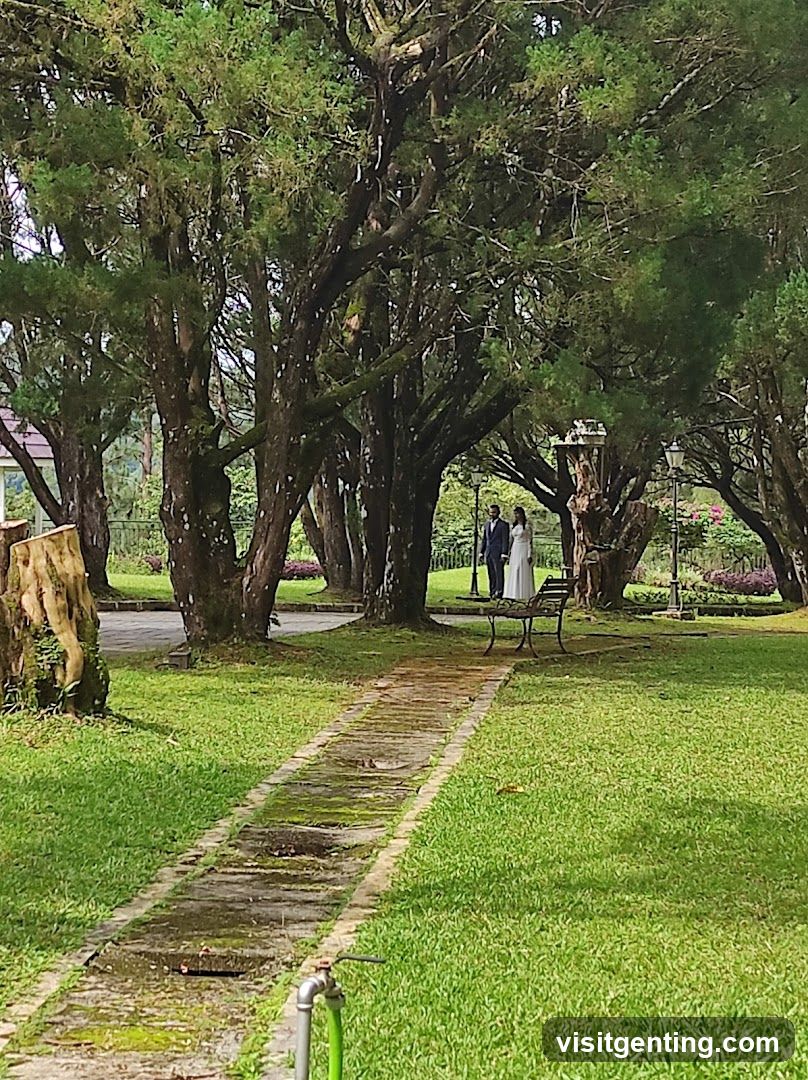 Outdoor Park Scene