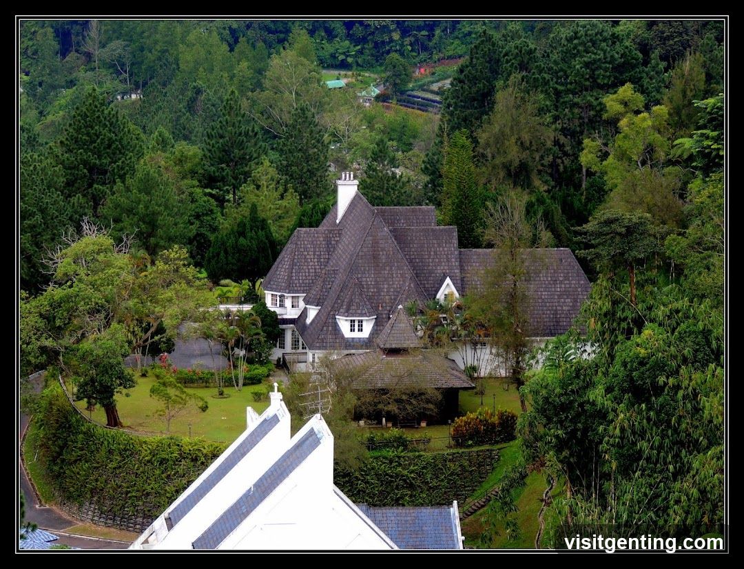 Landscape View of a House Amidst Forest