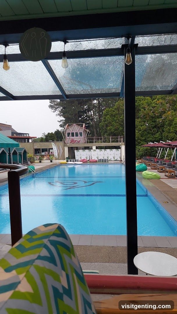 Poolside View from Covered Terrace