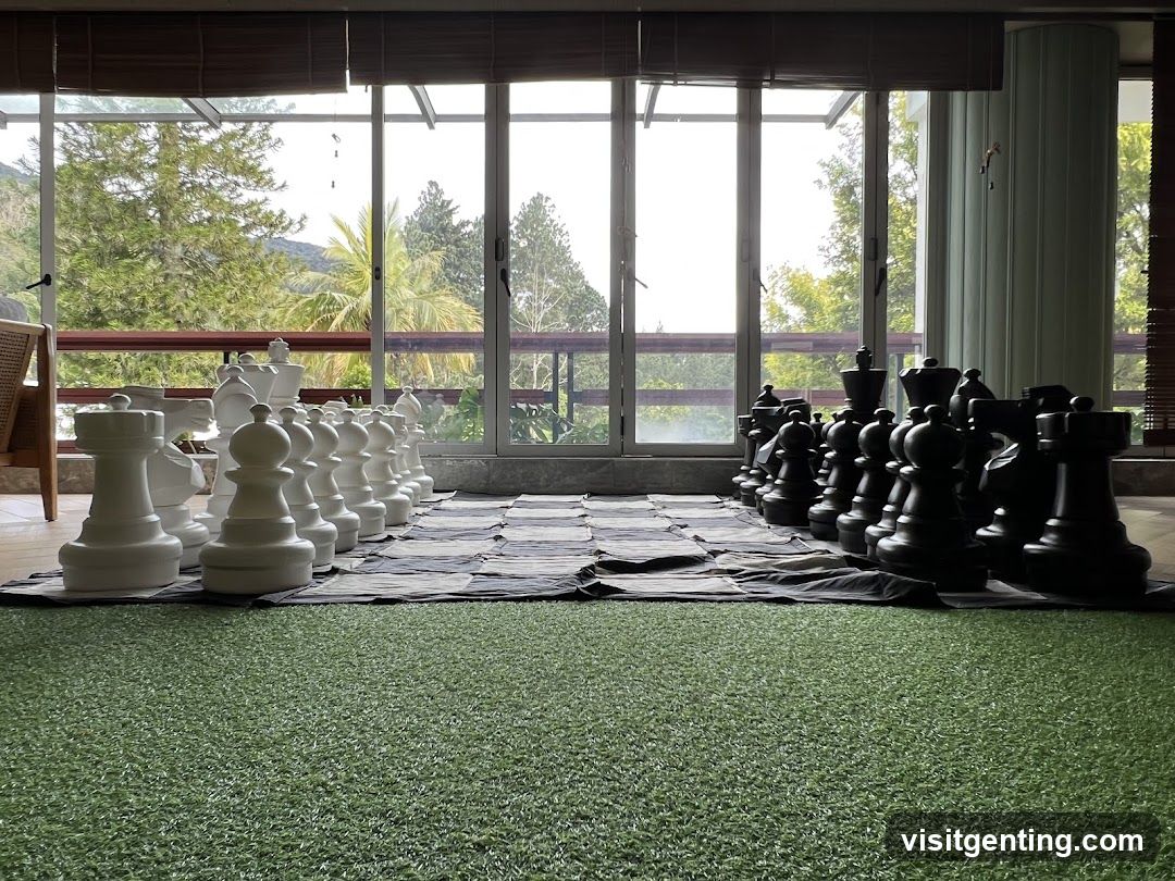 Indoor Chess Setup with View