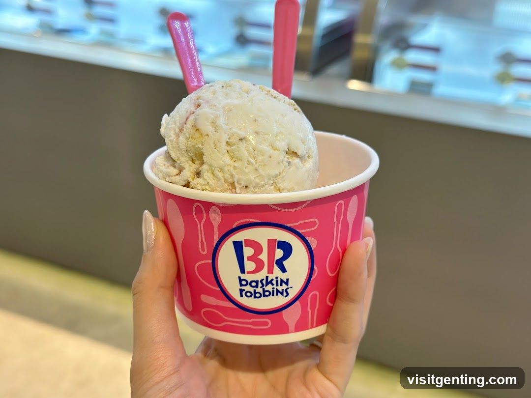 Baskin Robbins Ice Cream Cup