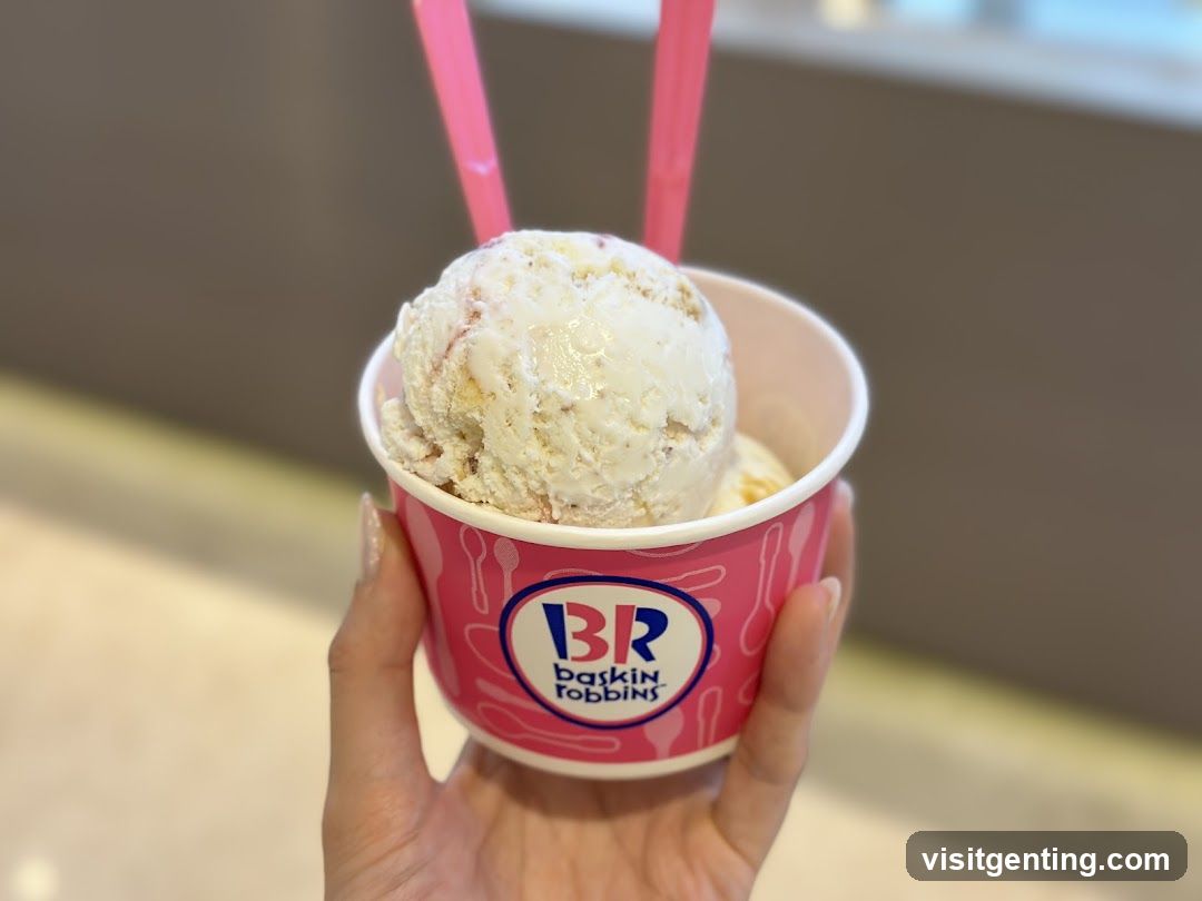 Baskin Robbins Ice Cream Cup