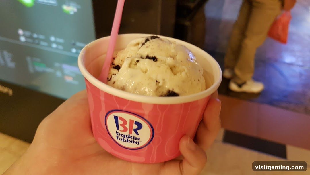 Baskin Robbins Ice Cream Cup