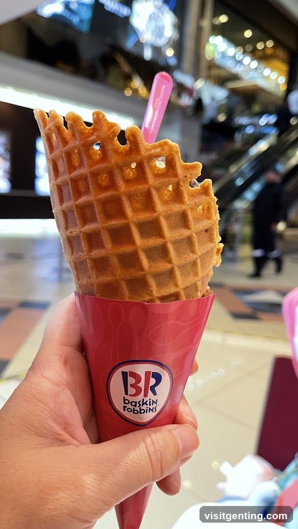 Baskin Robbins Waffle Cone Ice Cream