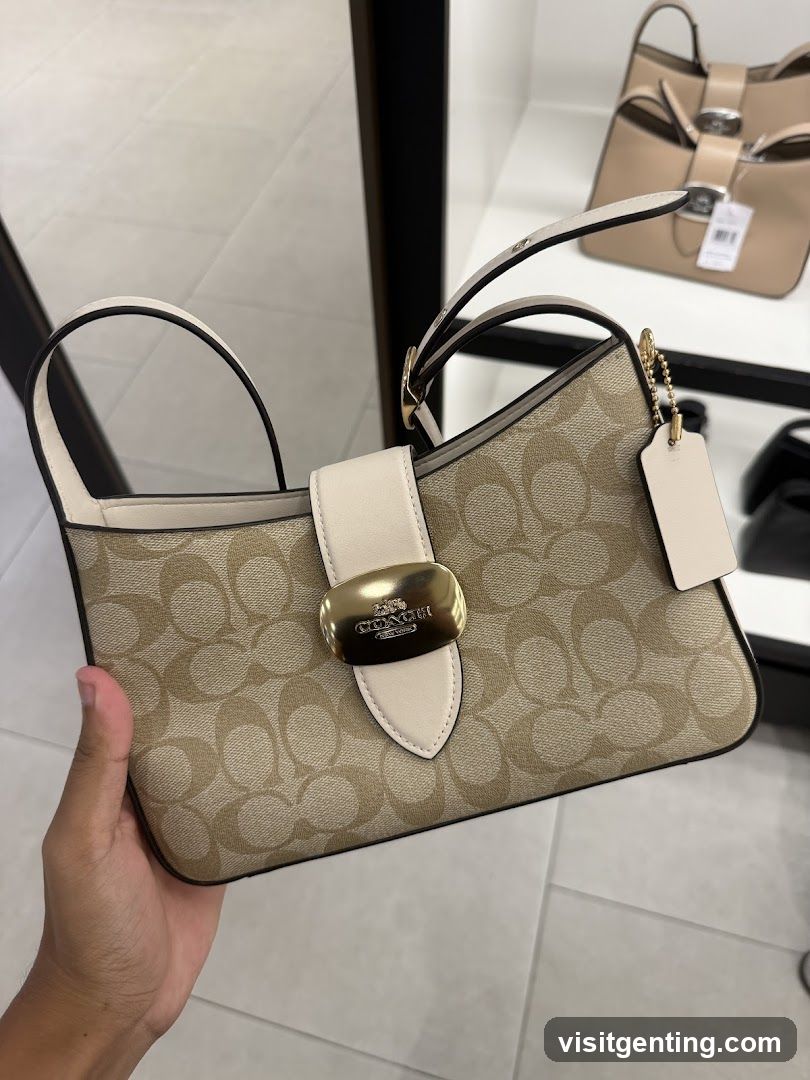 Coach Handbag Display