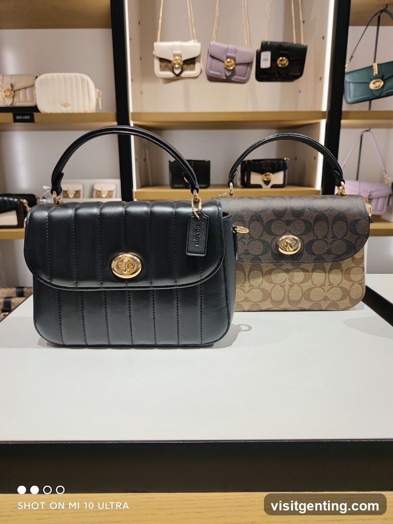 Coach Handbags Display