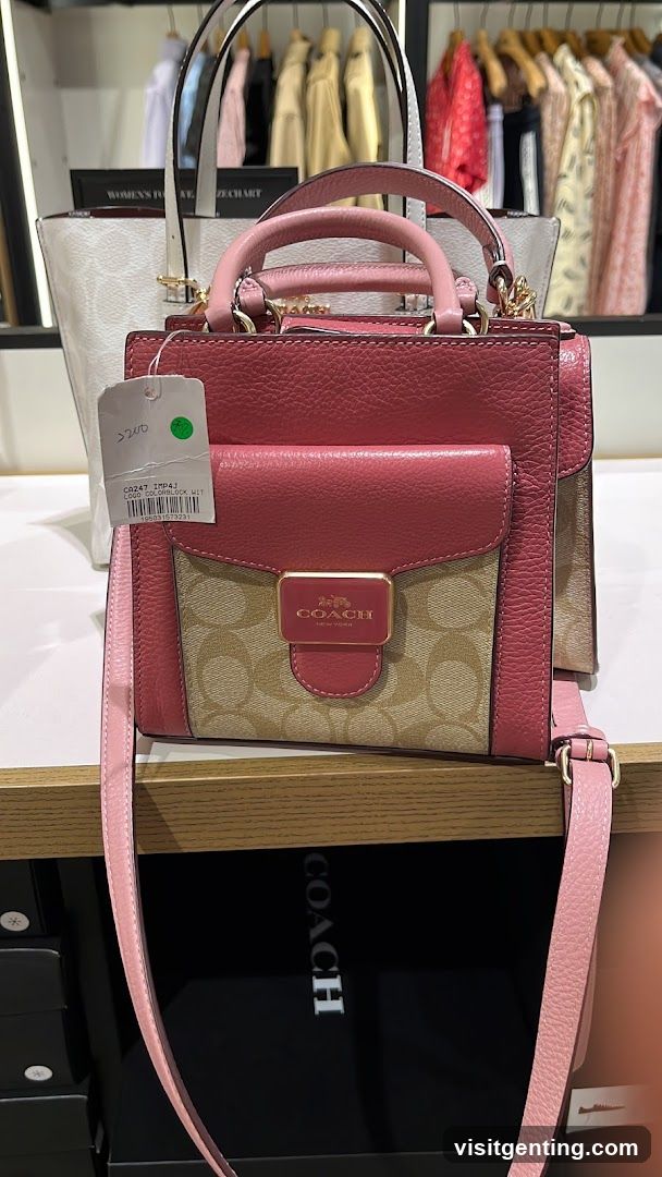 Coach Handbag Display