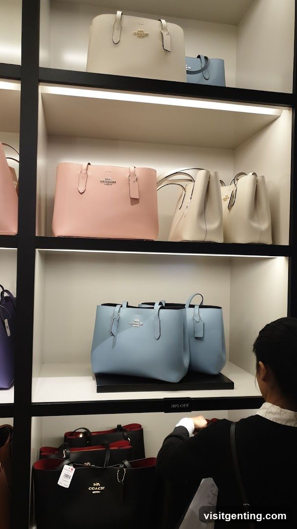 Coach Bag Display