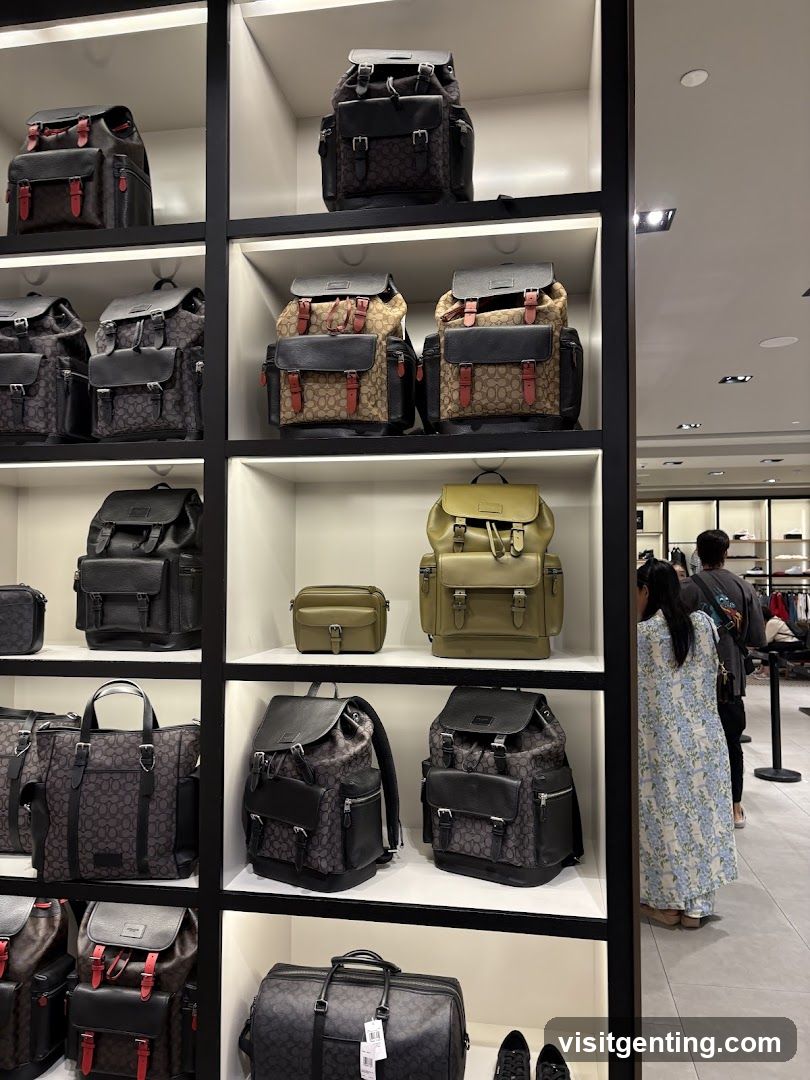 Shop Interior Display
