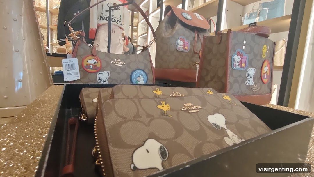 Coach x Snoopy Collection Display