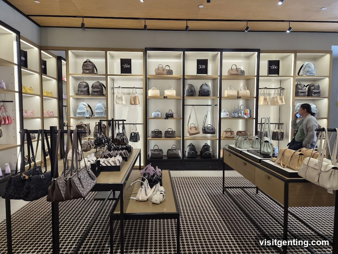 Interior of a luxury handbag store