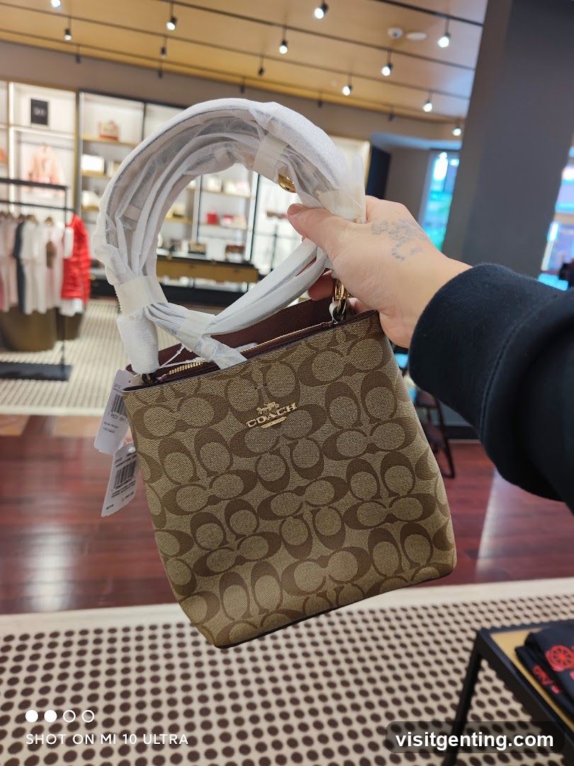 Coach Bag in Store