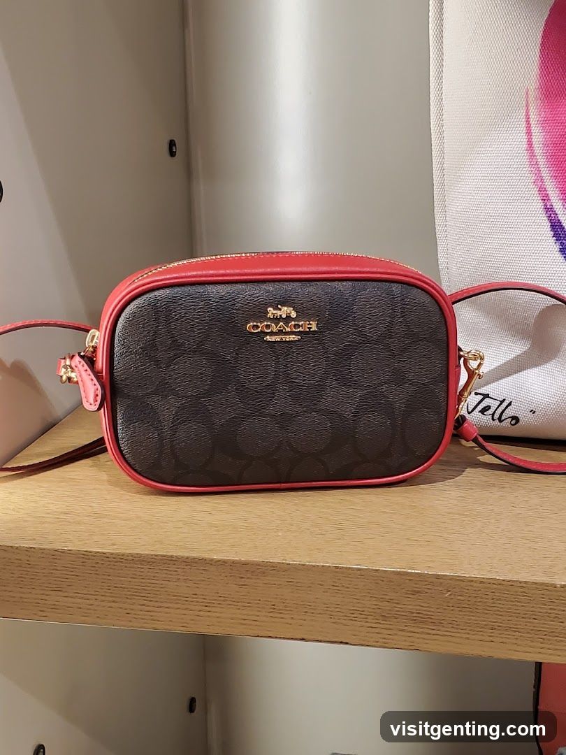 Coach Bag Display