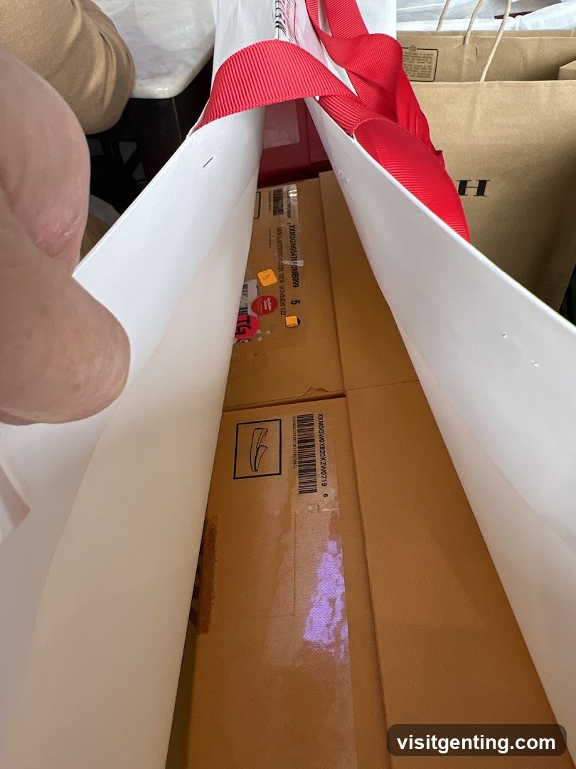 Shopping Bag Interior