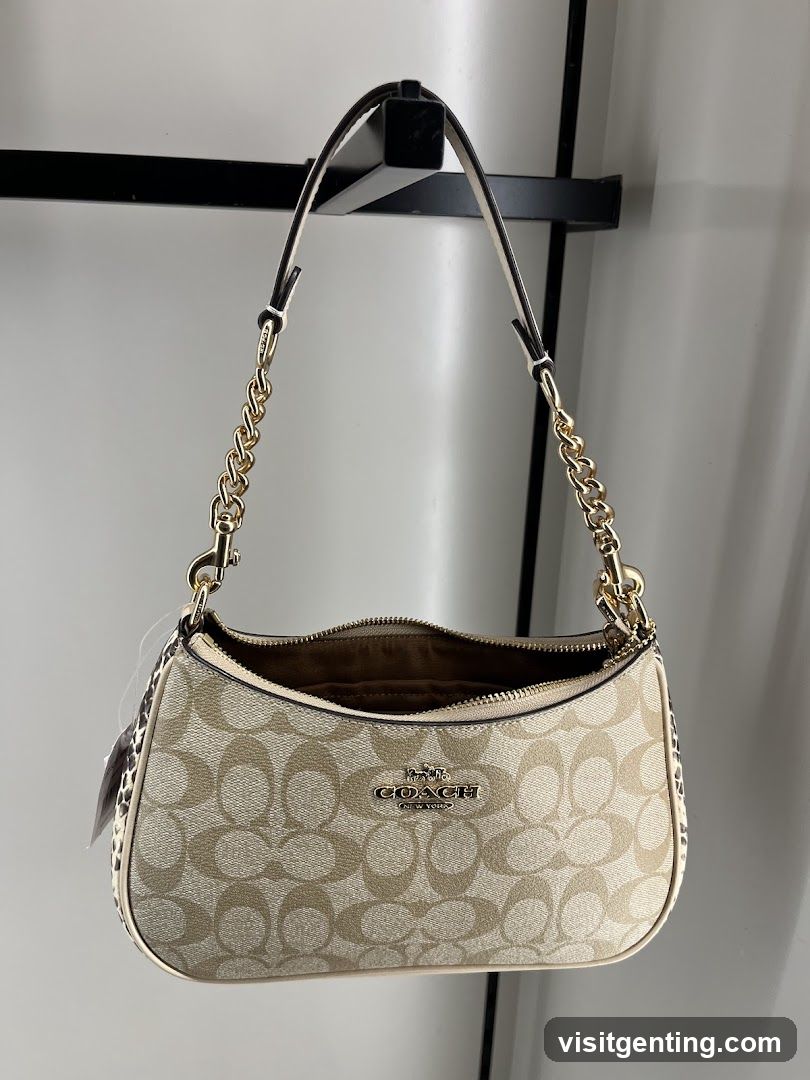 Coach Handbag Display