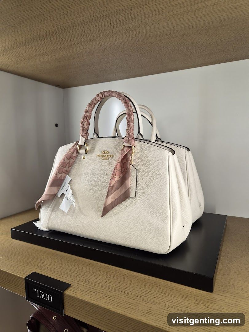 Coach Handbag Display