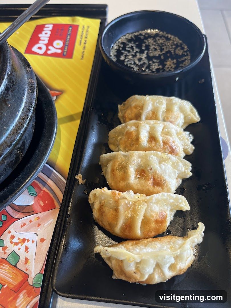 Dumplings with dipping sauce