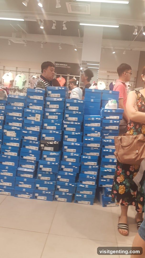 Interior Shoe Store Display