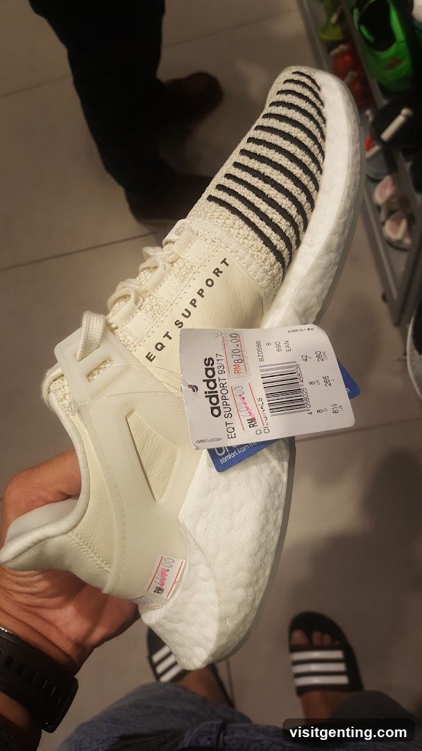 Adidas Shoe in Store