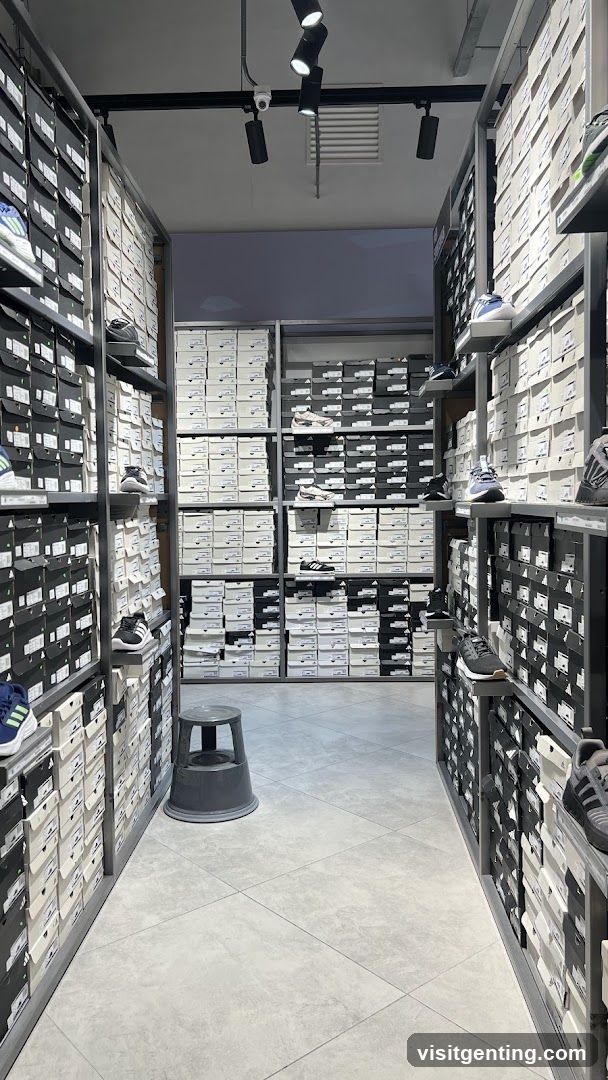 Shoe Store Interior