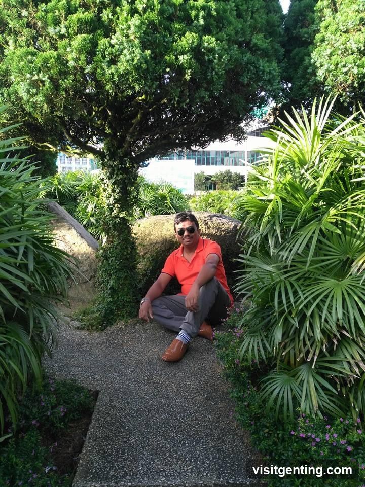Man in Garden