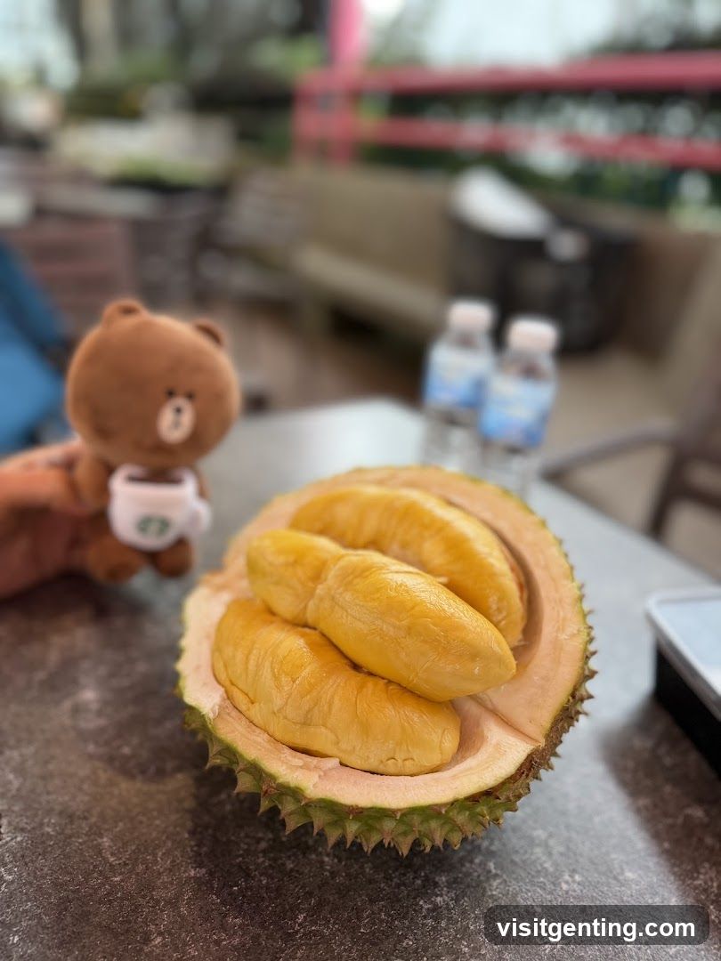 Durian on Table with Stuffed Toy
