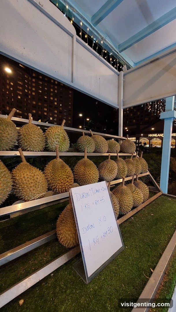 Durian Display at Night
