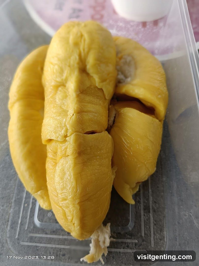 Durian Fruit