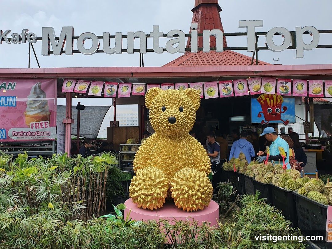 Mountain Top Cafe