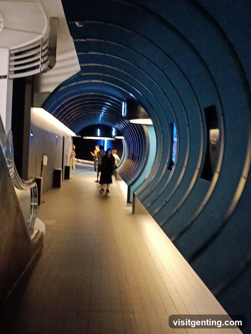 Interior Tunnel Walkway