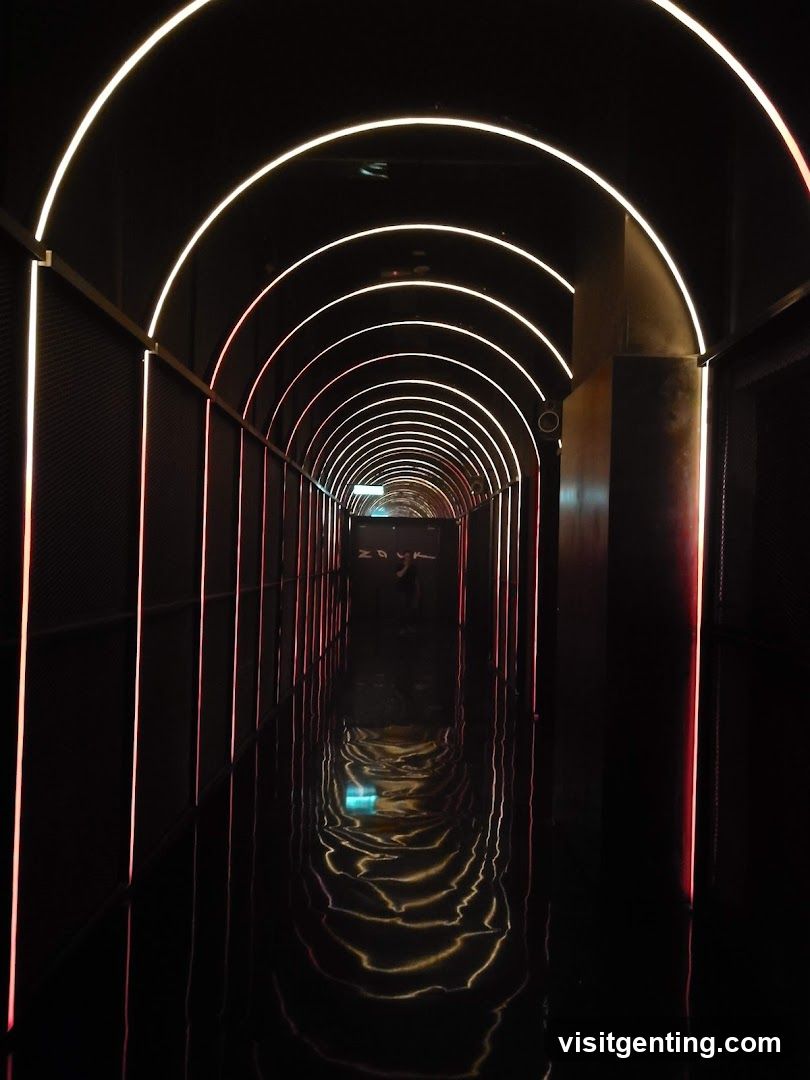 Neon-lit tunnel interior