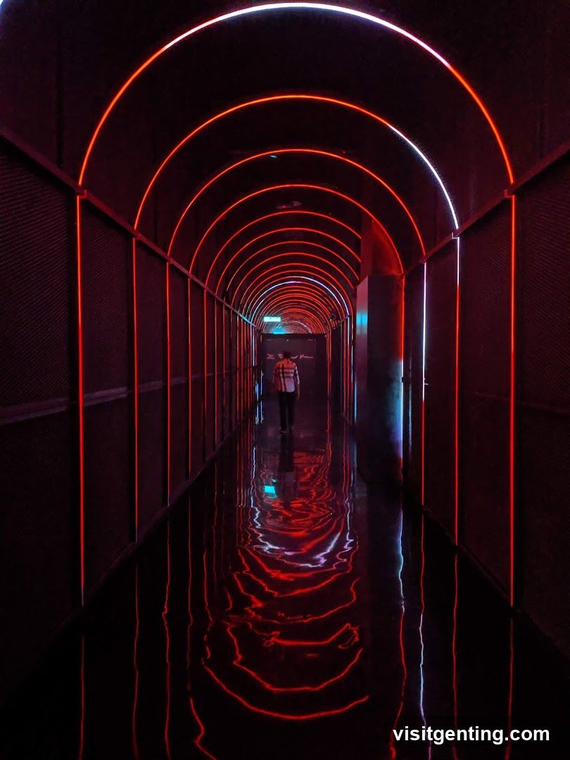 Neon-lit Tunnel Interior
