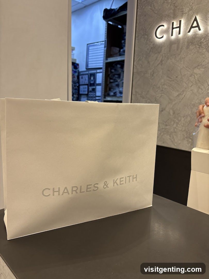 Charles & Keith Shop Interior
