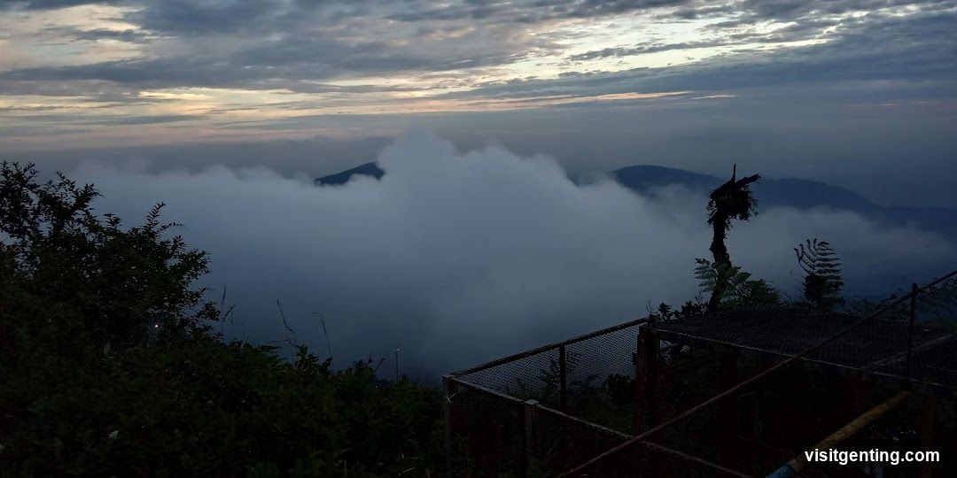 Mountain View at Dawn