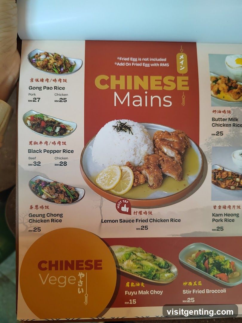 Chinese Mains Menu