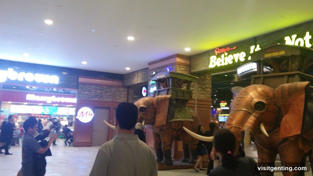 Shopping Mall Interior