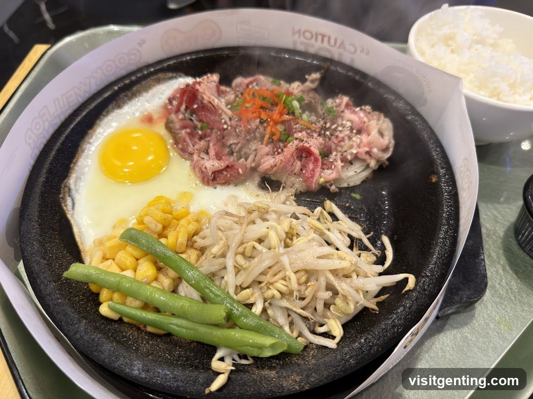 Stir-fry plate with egg, meat, vegetables, rice