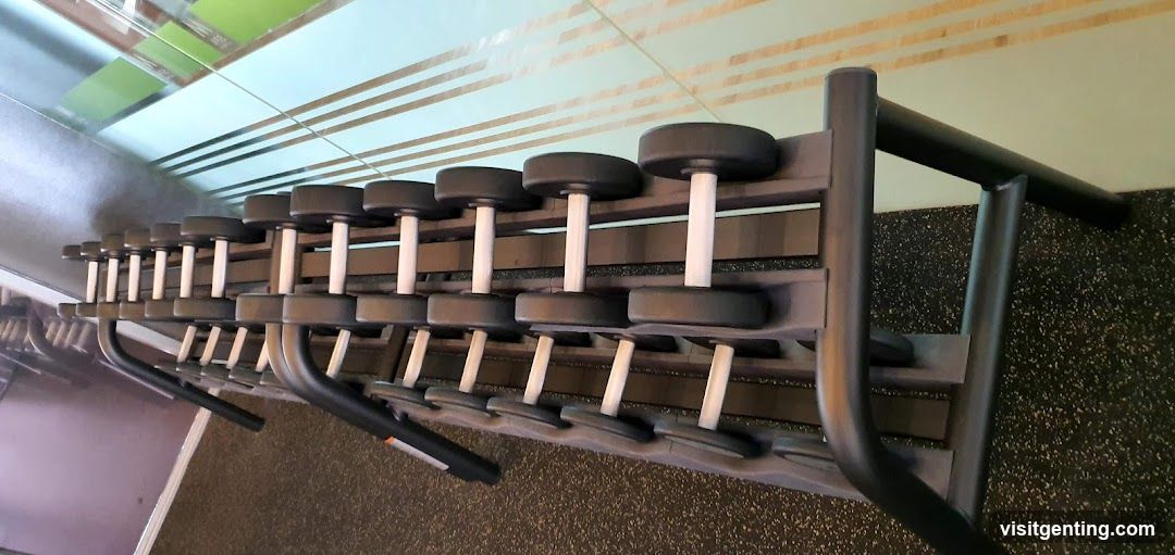 Gym Dumbbell Rack