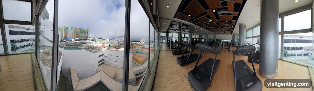 Gym Interior with City View