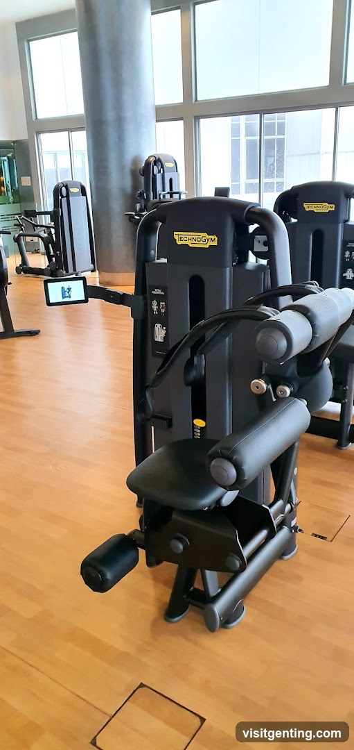 Gym Equipment Interior