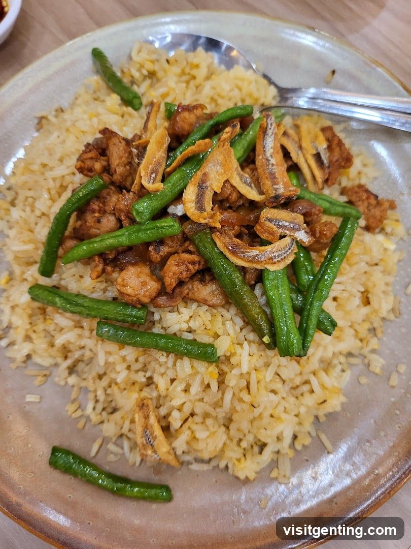 Food Dish