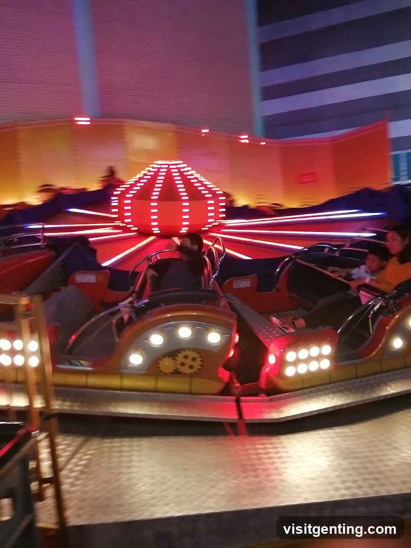 Amusement Park Ride