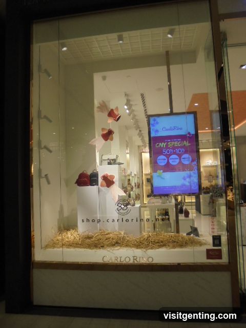 Carlo Rino Storefront Window Display