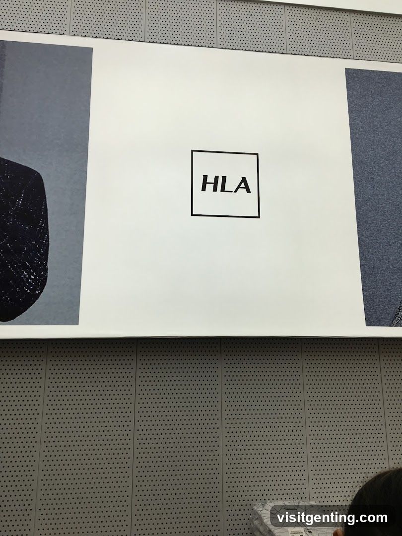 HLA promotional poster